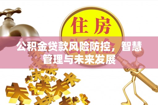 沁阳公积金贷款风险防控，智慧管理与未来发展