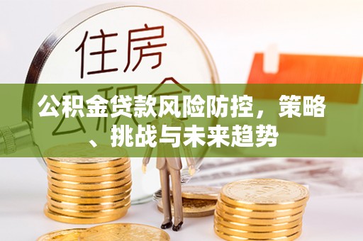 沁阳公积金贷款风险防控，策略、挑战与未来趋势