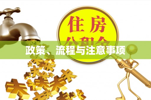 沁阳政策、流程与注意事项