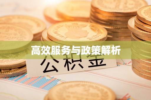 沁阳高效服务与政策解析
