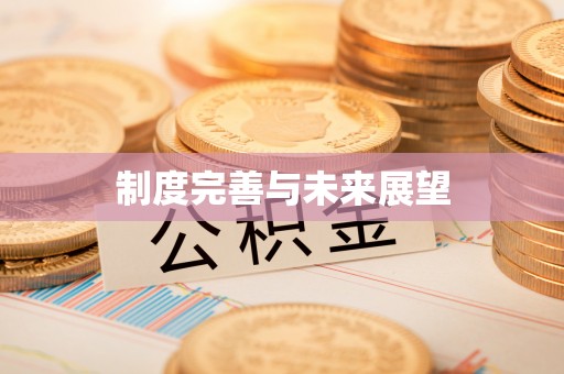 沁阳制度完善与未来展望