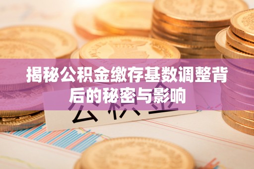 沁阳揭秘公积金缴存基数调整背后的秘密与影响