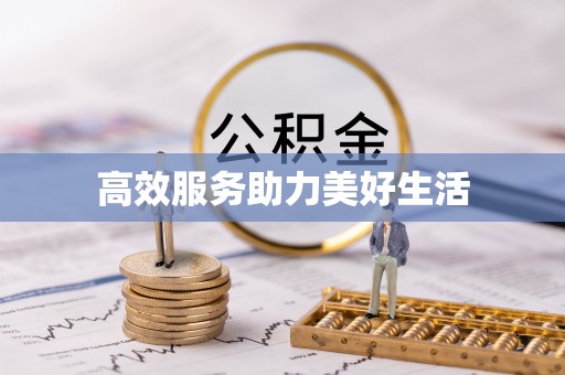 沁阳高效服务助力美好生活